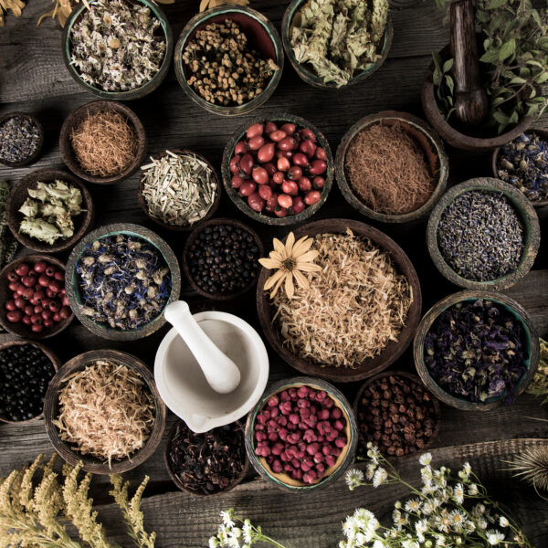 Homeopathy, herbal medicine on wooden table