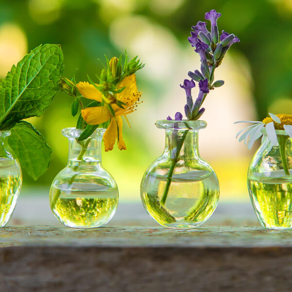 Essential oils and herbal extracts in small bottles. Selective focus. nature.