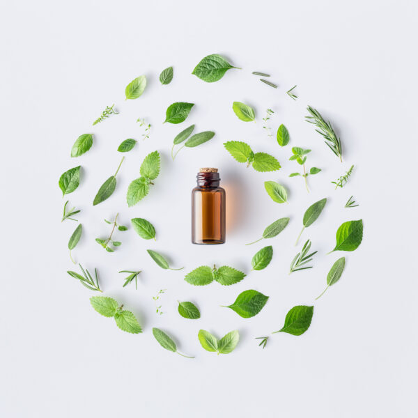 Bottle of essential oil with round shape of fresh herbs and spices basil, sage, rosemary, oregano, thyme, lemon balm  and peppermint setup with flat lay on white background