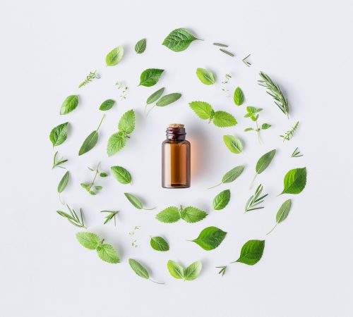 Bottle of essential oil with round shape of fresh herbs and spices basil, sage, rosemary, oregano, thyme, lemon balm  and peppermint setup with flat lay on white background