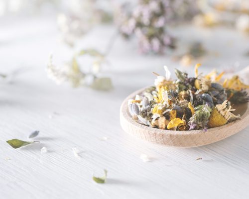 Mix of dried medical herbs and blooms on a wooden spoon. Homeopa